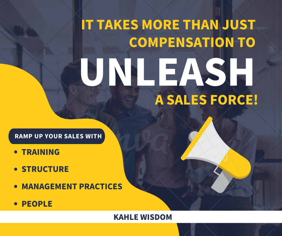 It Takes More Than Compensation to Unleash a Sales Force